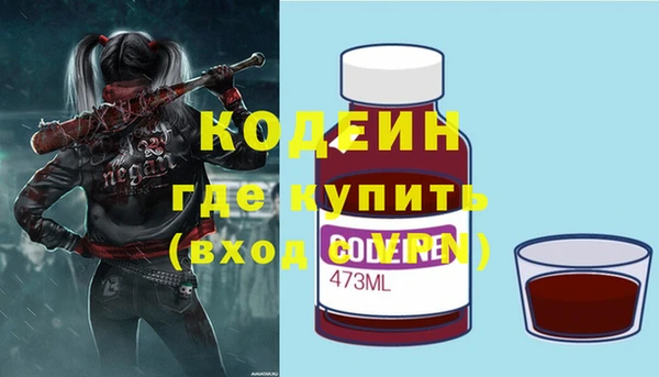 шишки Иннополис