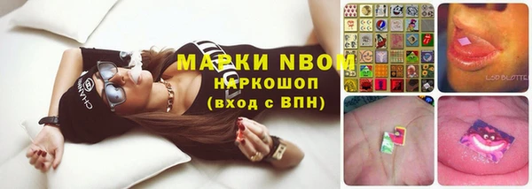 гашик Инта