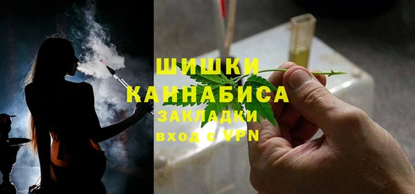 шишки Иннополис