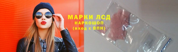 гашик Инта