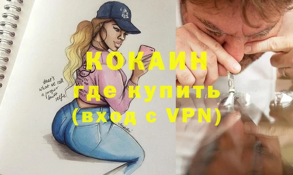 шишки Иннополис