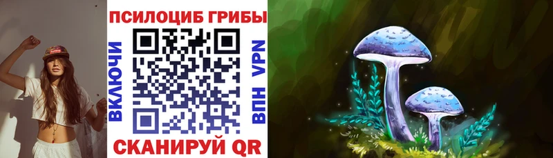Галлюциногенные грибы Psilocybine cubensis  Купить где  Ельня 